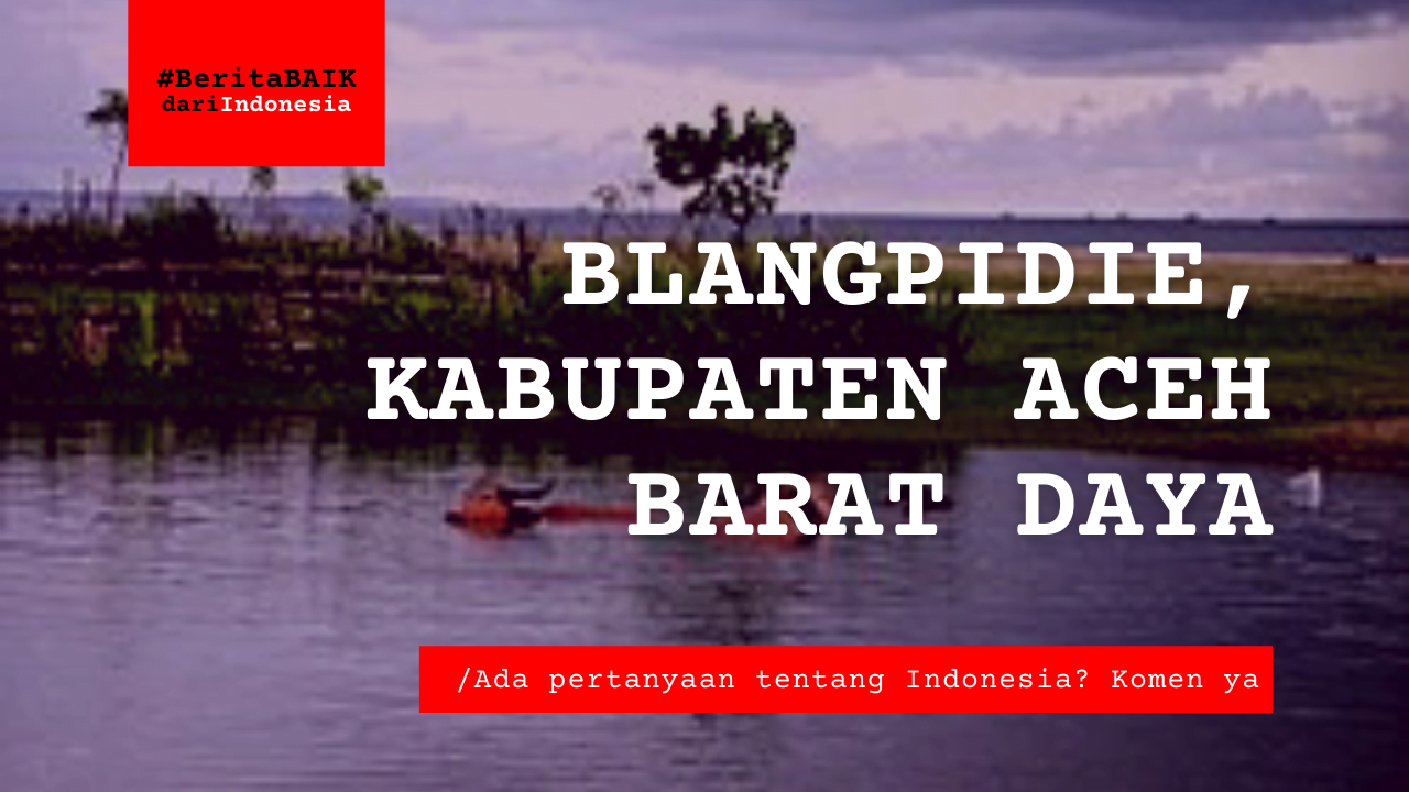 Pantai Blang Pidie, Kabupaten Aceh Barat Daya _ Berita Baik dari Indonesia-karya kekitaan - karya selesaiin masalah