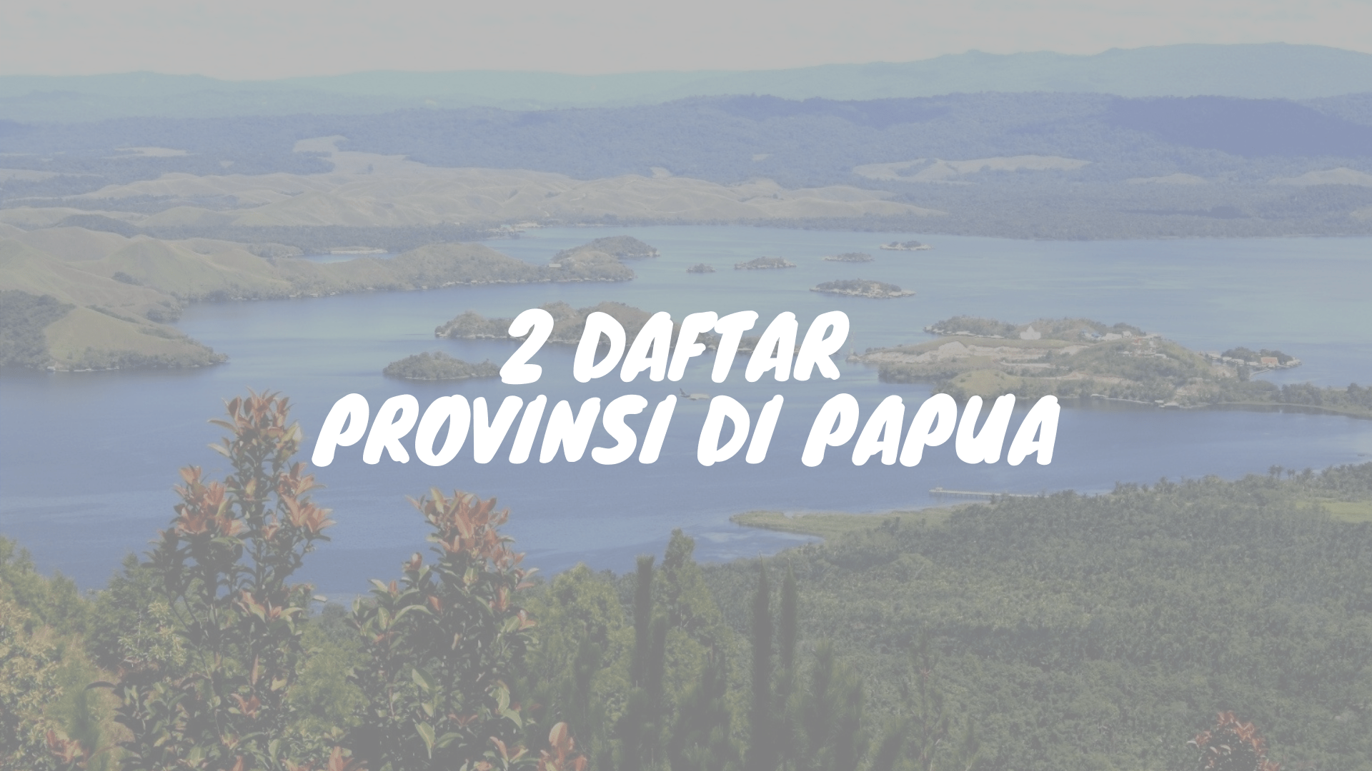 Daftar provinsi di pulau Papua