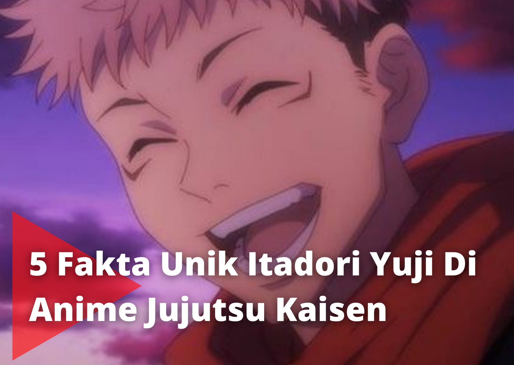 5 Fakta Unik Fushiguro Megumi Di Anime Jujutsu Kaisen