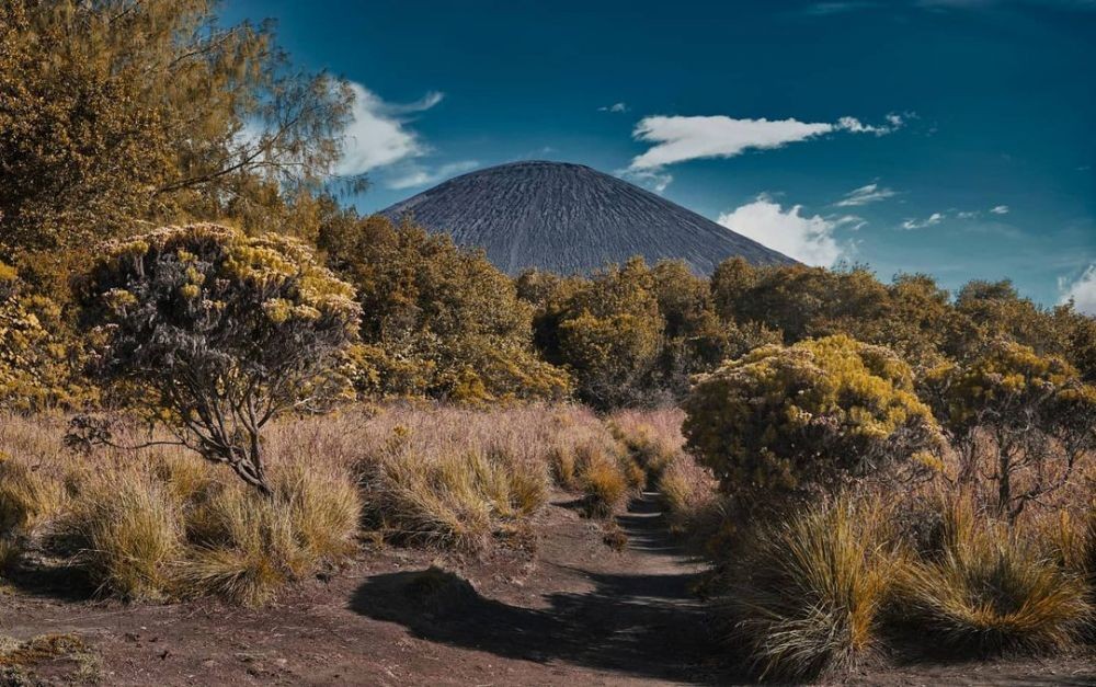 Fakta Unik Gunung Semeru | Surganya Pendaki Indonesia