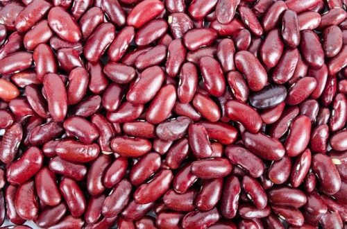 Kacang Merah termasuk kedalam makanan berprotein yang efektif bisa atasi masalah rambut rontok