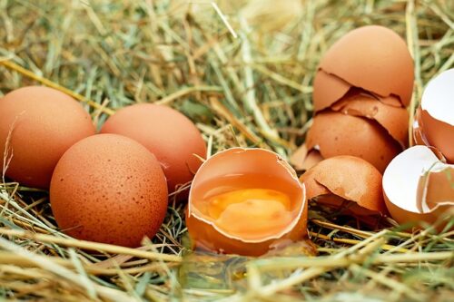 Telur termasuk kedalam makanan berprotein yang efektif bisa atasi masalah rambut rontok