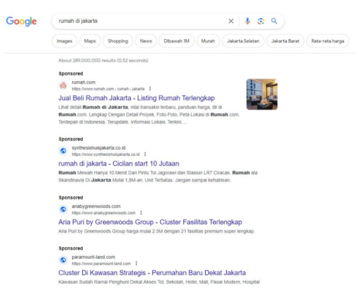 Search Campaign, Google Search Results